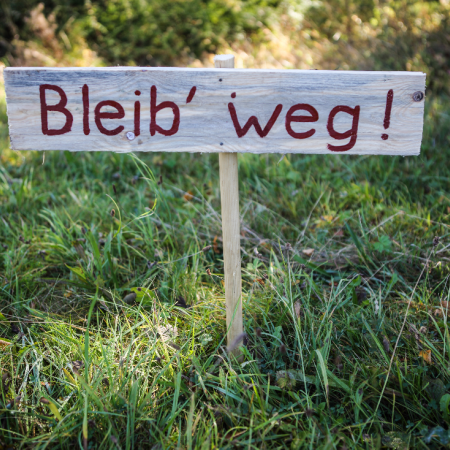 Bild vergrößern